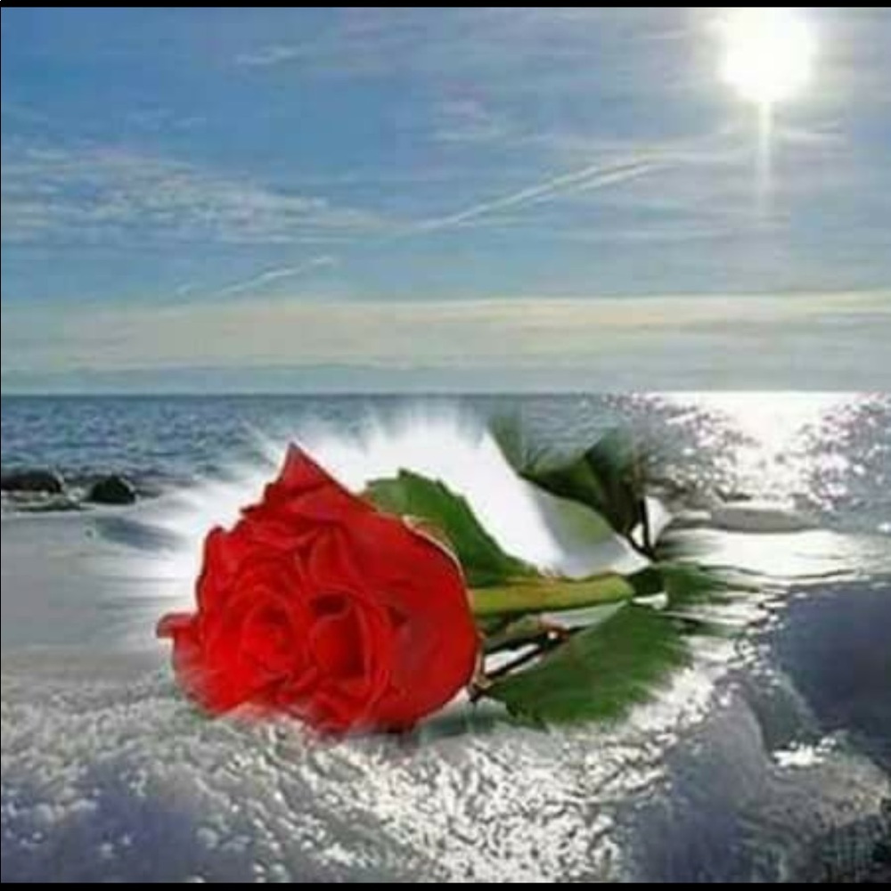 Meet your Posher, Rosie